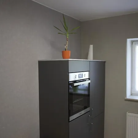 Cosy In Weissig With Garden Διαμέρισμα