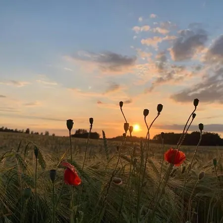 Appartement Cosy In Weissig With Garden