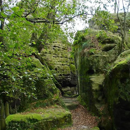 Cosy In Weissig With Garden