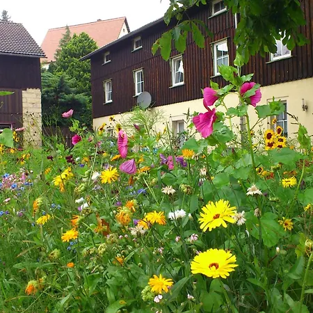 Cosy In Weissig With Garden